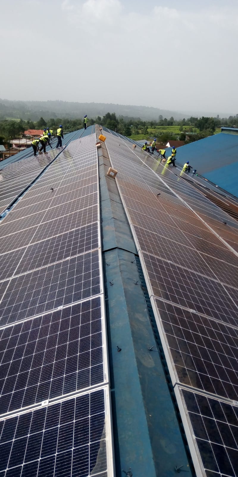 Agricultural Solution